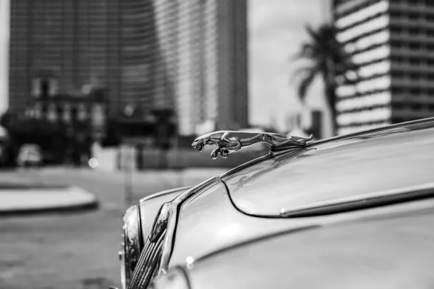 Casino Loony Bingo Application Android/iOS